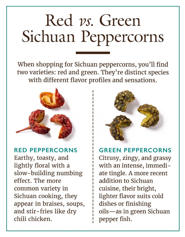 Red versus green Sichuan peppercorns with flavour profiles and cooking uses