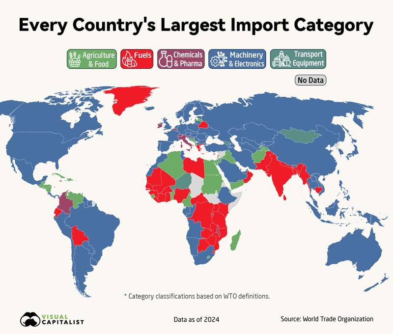 Every country's largest import category