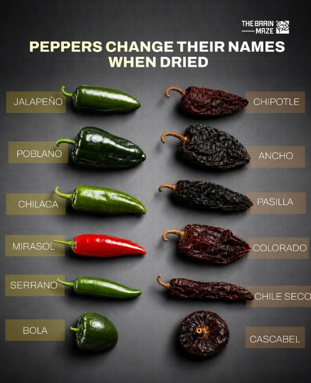 The jalapeno becomes the chipotle, the poblano becomes the ancho