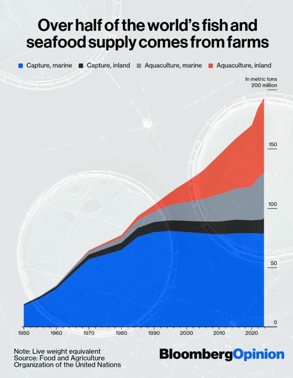 More than half the world's fish now comes from farms.