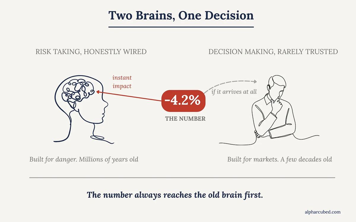The number reaches the old brain first.