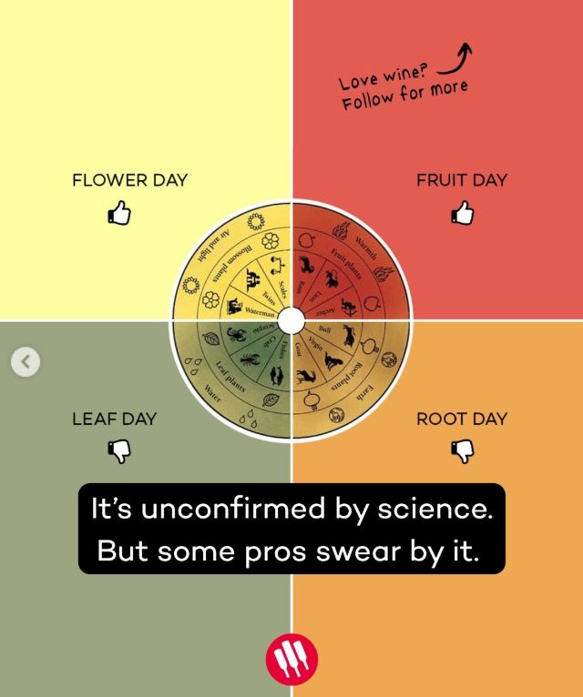 Biodynamic wine and the calendar.