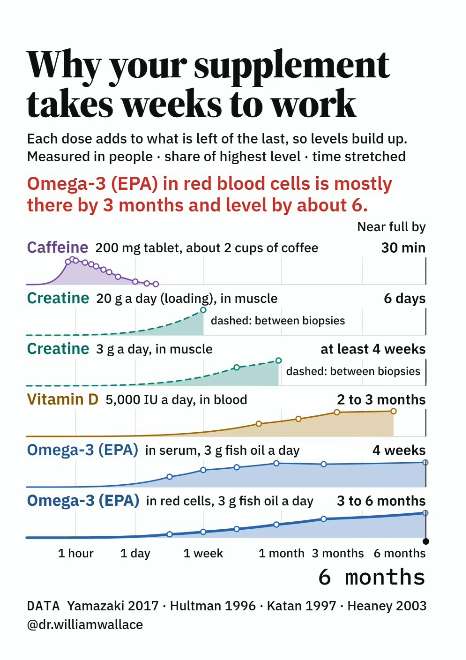 Why your supplement takes weeks to work