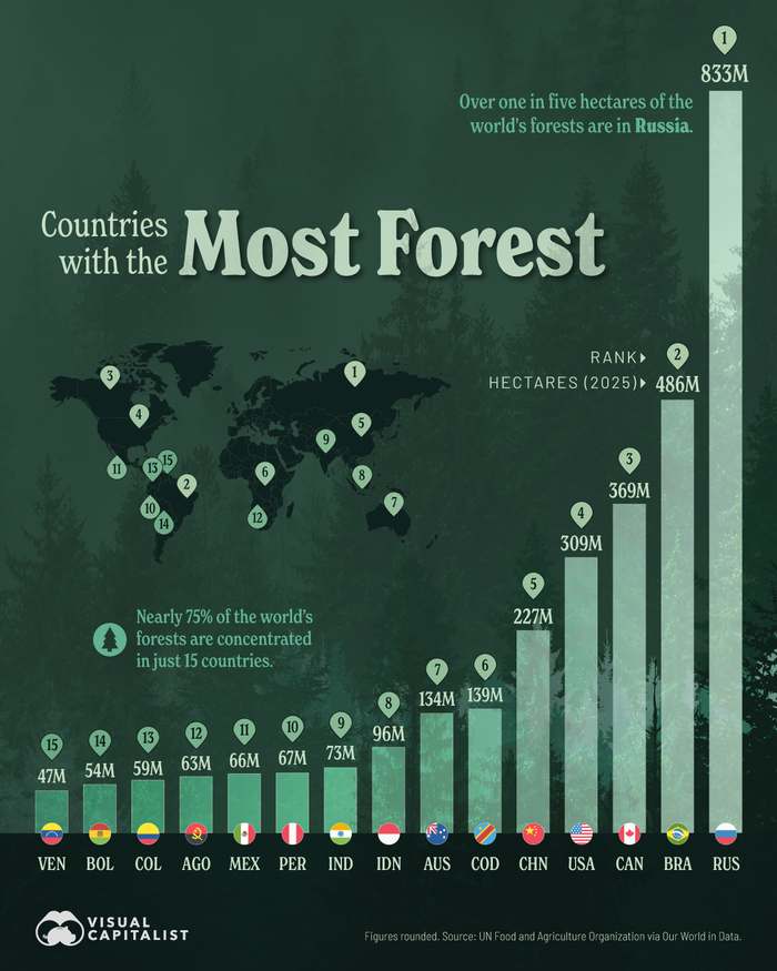 One in five hectares of the world's forest is Russian
