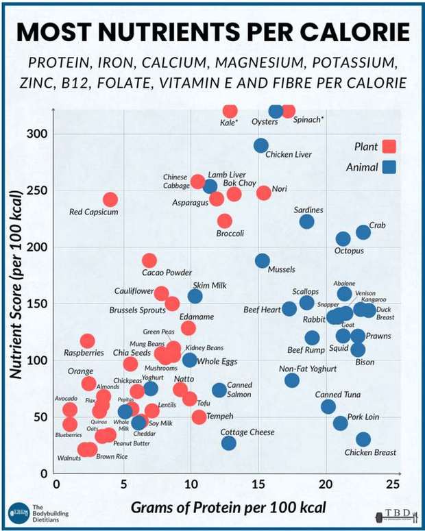 The most useful chart nobody trades
